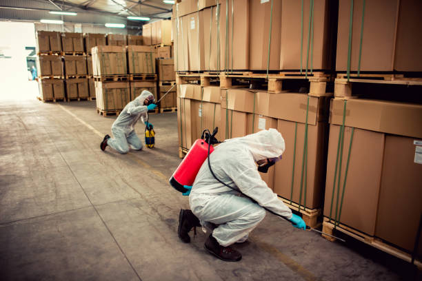 Best Pest Removal Services  in Lavaca, AR