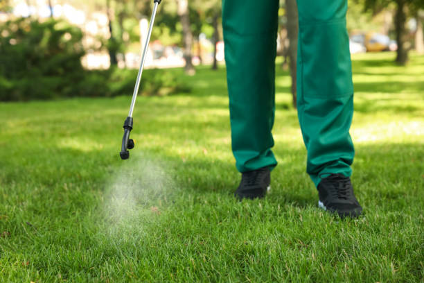 Best Insect Control  in Lavaca, AR