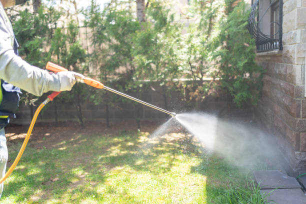 Insect Control in Lavaca, AR
