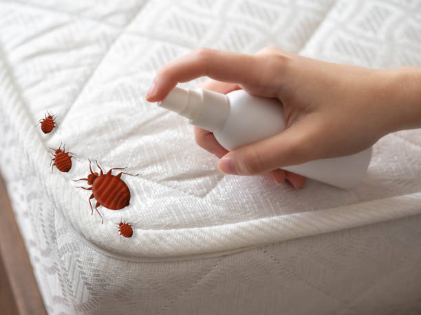 Best Pest Prevention Services  in Lavaca, AR