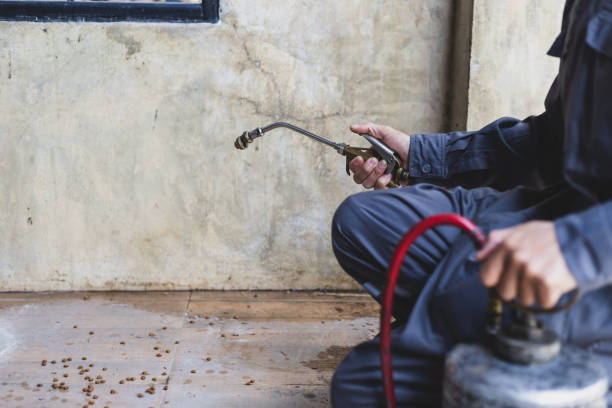 Best Mosquito Control Services  in Lavaca, AR